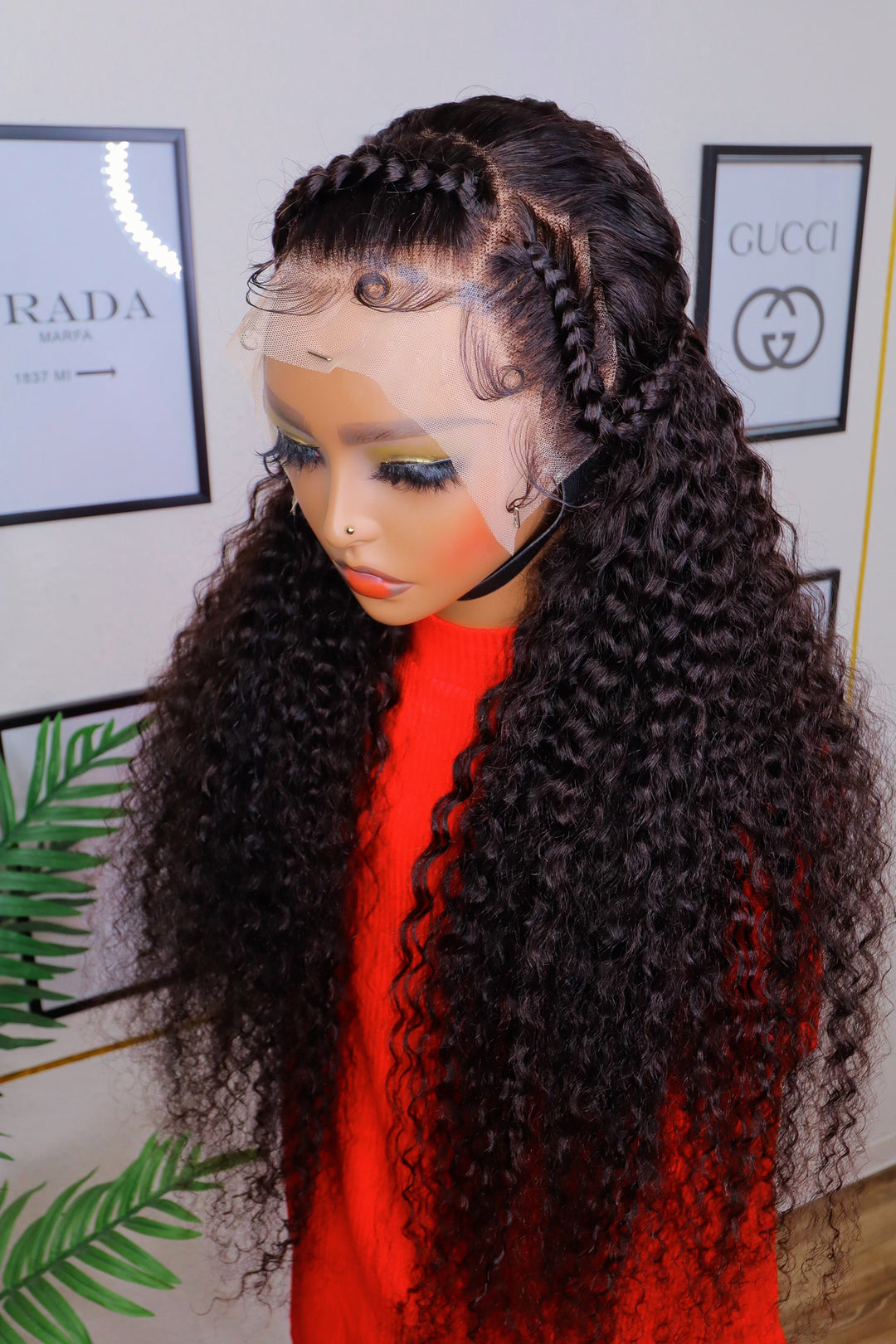 Caribbean Deapcurl